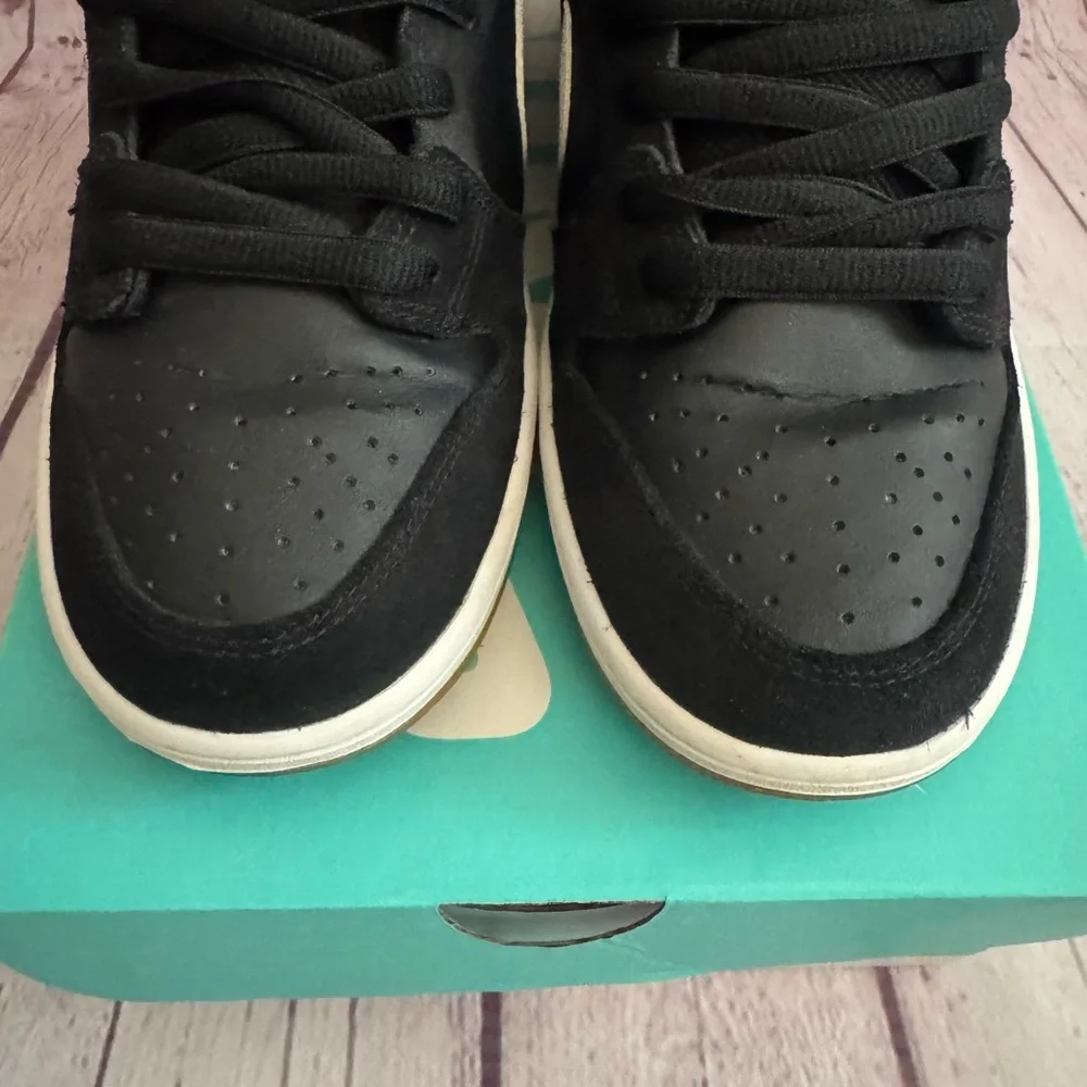 Nike SB Zoom Dunk Low Pro
